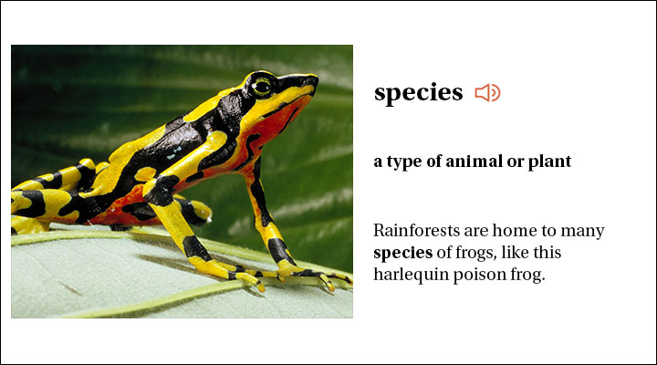 Slideshow