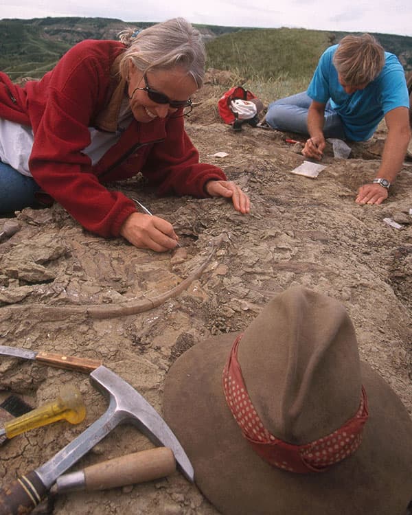 Archeologists excavate fossils from the ground