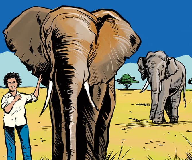 A woman stands next to a large elephant and touches its ear
