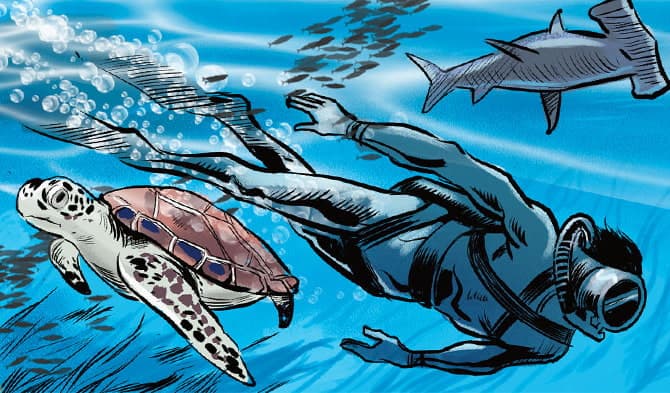 A sea turtle and shark swim next to a diver.