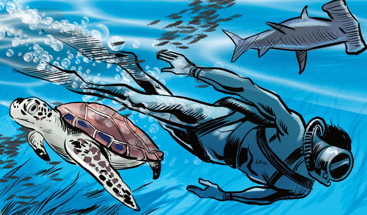 A sea turtle and shark swim next to a diver.