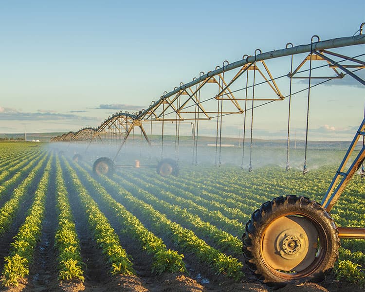 A multi-arched farming machine sprays water on a field of crops.