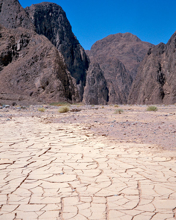 Dry cracked land