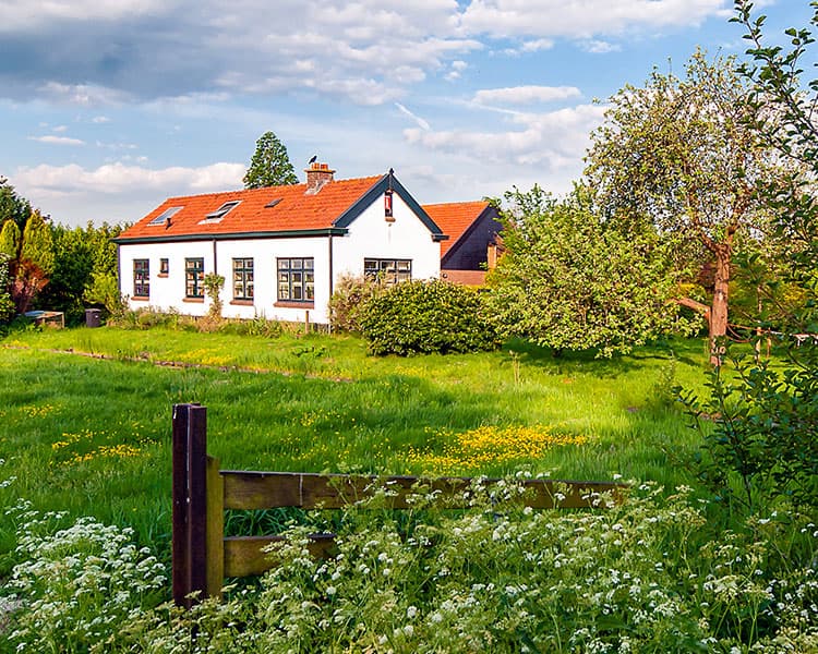 An isolated home surrounded by land and trees