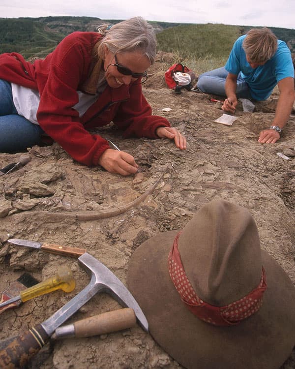 Scientists excavating and examining a site area