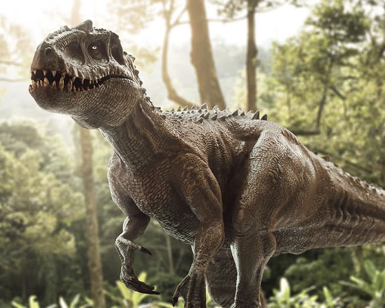 Image of a T-Rex in the wild