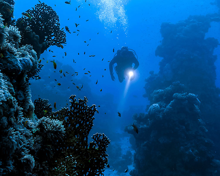 Photo of a person diving underwater with a flashlight